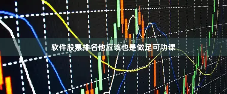 软件股票排名他应该也是做足可功课