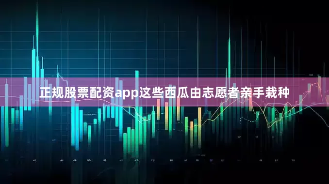 正规股票配资app这些西瓜由志愿者亲手栽种