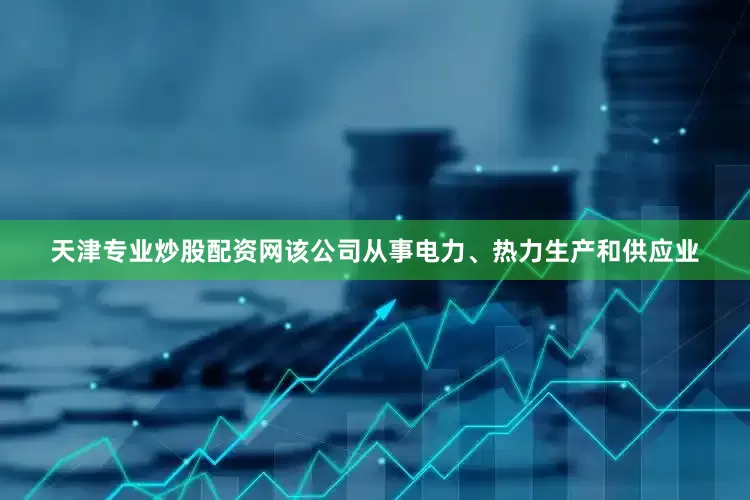 天津专业炒股配资网该公司从事电力、热力生产和供应业