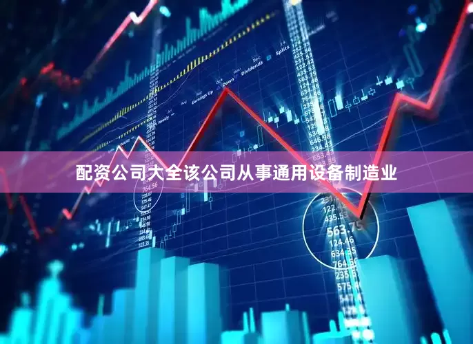 配资公司大全该公司从事通用设备制造业