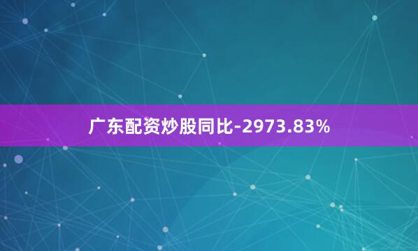 广东配资炒股同比-2973.83%