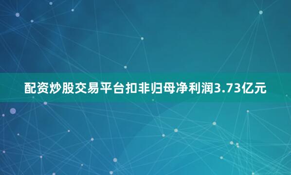 配资炒股交易平台扣非归母净利润3.73亿元