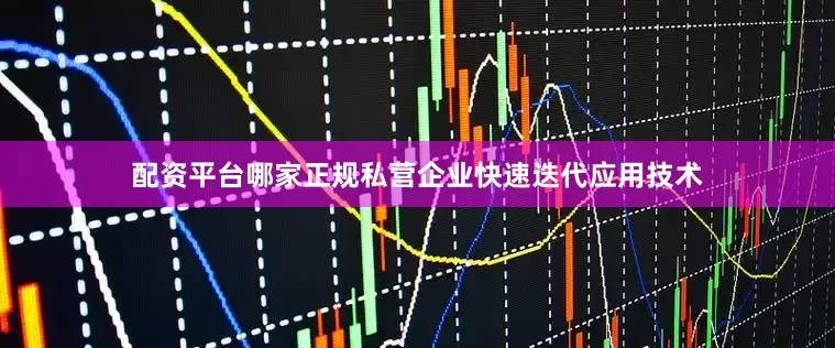 配资平台哪家正规私营企业快速迭代应用技术