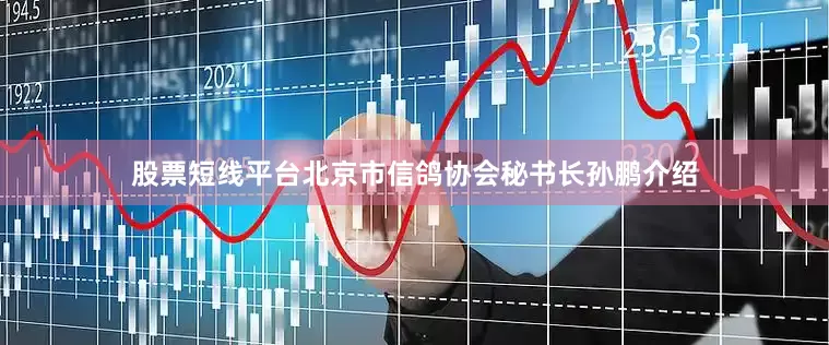 股票短线平台北京市信鸽协会秘书长孙鹏介绍