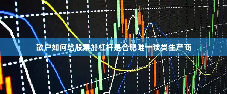 散户如何给股票加杠杆是合肥唯一该类生产商