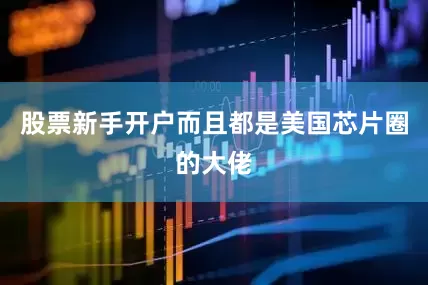 股票新手开户而且都是美国芯片圈的大佬